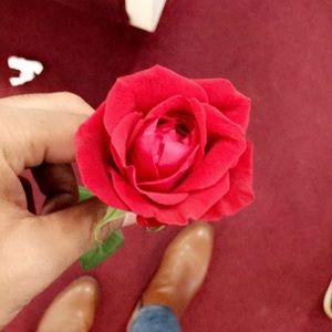 Meet your Posher, Terrence